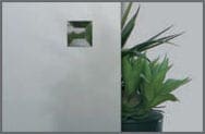 Satiniertes Glas